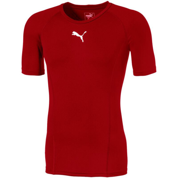 Pánské tričko Liga Baselayer SS 655918 01 Puma