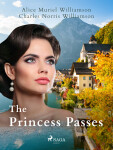 The Princess Passes - Charles Norris Williamson, Alice Muriel Williamson