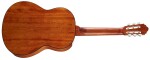 Cort AC100SG