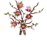 LEGO® Botanicals 11510 Větvičky magnólie