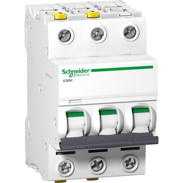 Schneider Electric A9F07313 A9F07313 elektrický jistič 13 A 400 V
