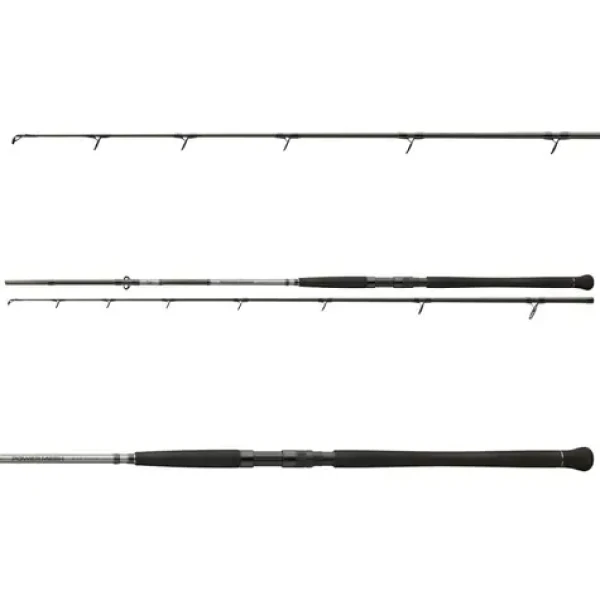 Daiwa Powermesh Catfish Boje / Sumcový prut / 3,3m / 150-400g (11822-330)