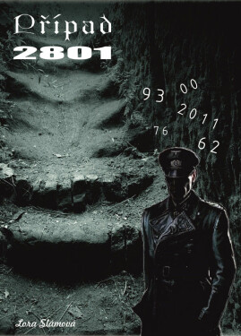 Případ 2801 - Lora Slámová