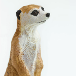Safari Ltd. Safari Ltd. Figurka - Surikata