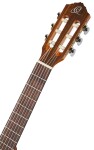 Ortega R122G-3/4