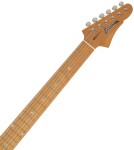 Eastman FT-SC'52 Moss Black