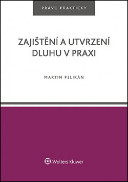 Zajištění utvrzení dluhu praxi