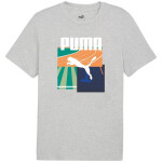 Puma Graphics Summer Sports Tee II 627909 04 pánské tričko