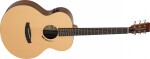 Tanglewood TB3E