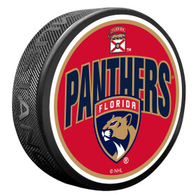 Mustang Puk Florida Panthers NHL Wordmark