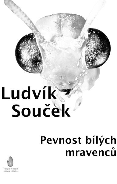 Pevnost bílých mravenců - Ludvík Souček