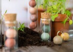 Blossombs Dárková sada semínek divokých květin Mother's day Medium – 9 ks, růžová barva, krémová barva, přírodní barva