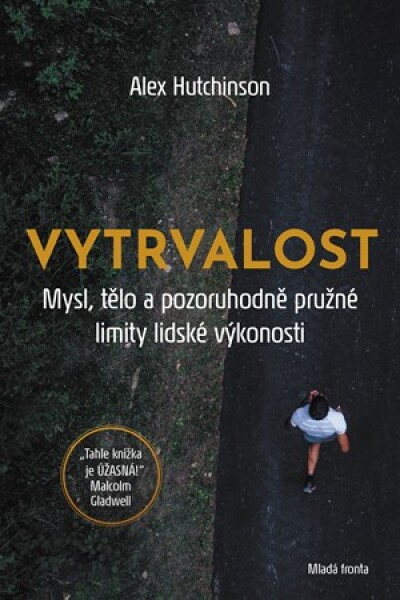 Vytrvalost