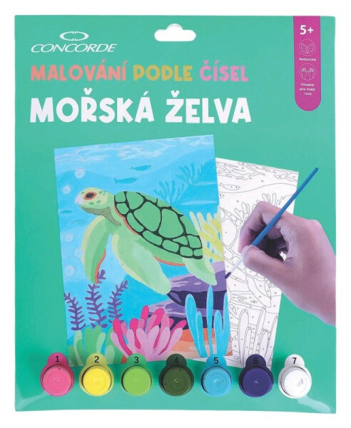 Malování podle čísel Mořská želva