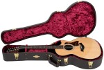 Taylor 454ce Next Generation