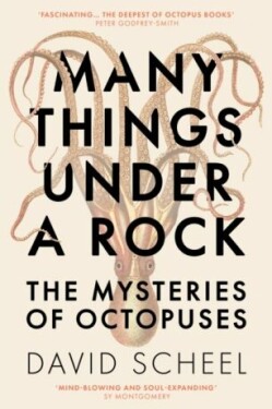 Many Things Under Rock: The Mysteries of Octopuses David Scheel