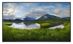 24" DELL P2425H černá / Monitor / IPS / FHD / 100Hz / 5ms / HDMI+DP (DELL-P2425HWO)