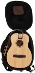 Furch Little Jane LJ 10-SM