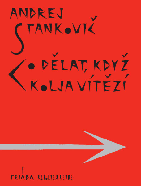 Co dělat, když Kolja vítězí - Andrej Stankovič