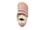 Bisgaard Carter Lamb Rose