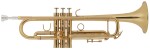 Bacio Instruments BTR-200GR