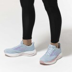 Mizuno Wave Rider 29 nantucket breeze orchid petal bleached mauve