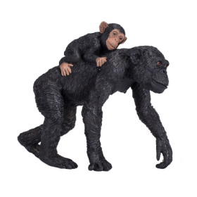 Šimpanz s mládětem