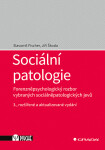 Sociální patologie Slavomil Fischer, Jiří Škoda e-kniha