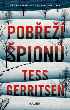 Pobřeží špionů - Tess Gerritsen