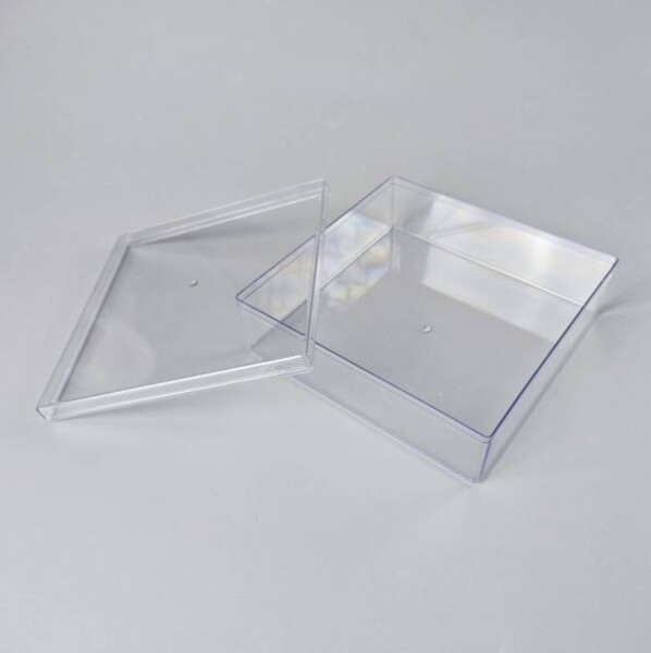 Cake Star Cake Star Plastová krabička s víčkem (18,5 x 18,5 x 6 cm)