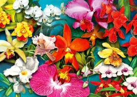 ENJOY Puzzle Džungle orchidejí