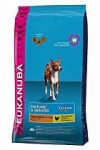 Eukanuba Medium