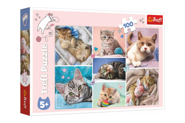 Puzzle kočičím dílků