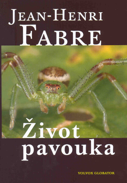 Život pavouka - Jean-Henri Fabre