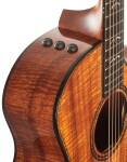Taylor 924ce-K 50th Anniversary + Circa 74 amp Limited Edition