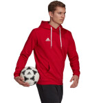Pánská mikina Entrada 22 Hoody H57514 Adidas