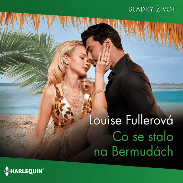Co se stalo na Bermudách - Louise Fullerová - audiokniha