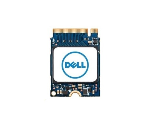 DELL M.2 PCIe NVMe Gen 4x4 Class 35 2230 SSD - 1TB EDF_1336227