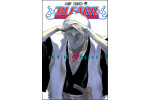 Bleach 20: