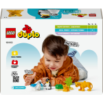 LEGO LEGO® DUPLO® 10442 Rodinky divokých zvířat: Tučňáci a lvi