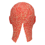 R-Kontakt.cz Maska hlava bez kůže latex