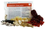 Obnova základu 15 g (bylinná směs)