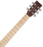Tanglewood TW4CEBLB
