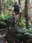 Dres MTB CYCOLOGY Gangsta, pánský, krátký rukáv (Motiv Gangsta, velikost M)