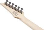 Ibanez RG421AHM Blue Moon Burst