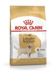 Royal Canin Labrador Retriever Adult 12 kg