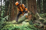 Motorová pila STIHL MS 300 C-M
