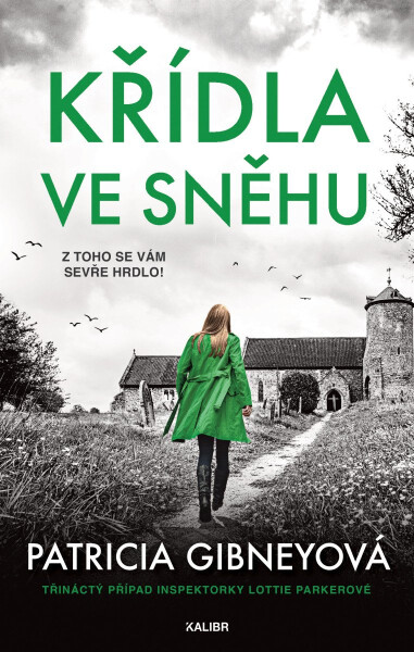 Křídla ve sněhu - Patricia Gibneyová