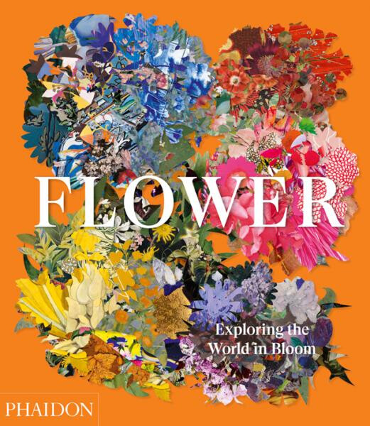 Flower: Exploring the World in Bloom - Anna Pavord