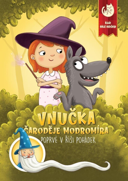 Vnučka čaroděje Modromíra Poprvé říši pohádek Martin Kučera